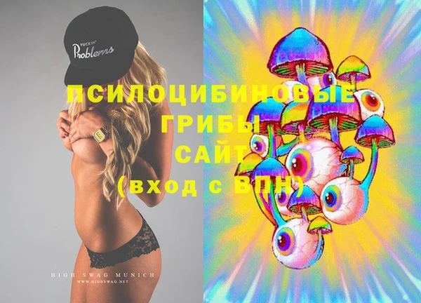 гашик Балахна
