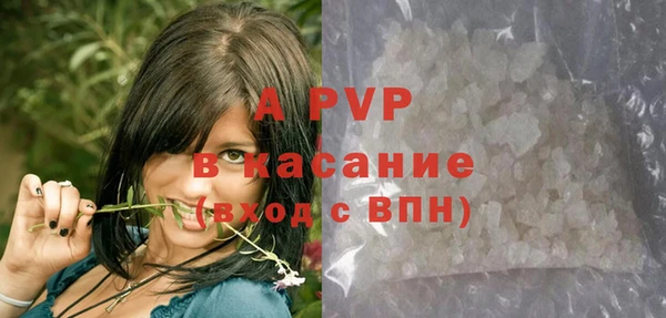 гашик Балахна