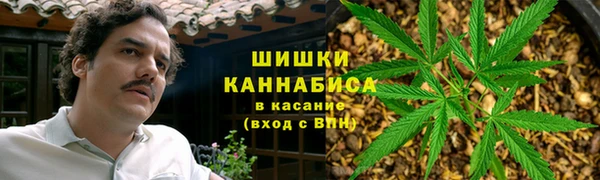 гашик Балахна